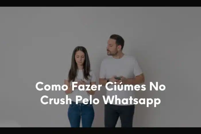 Como Fazer Ciúmes No Crush Pelo Whatsapp-1